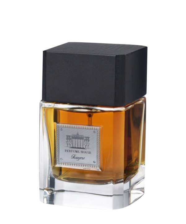 91106 ادوپرفیوم مردانه پرفیوم هاوس فوژه PERFUME HOUSE FOUGERE EDP 100ML MEN - Image 1