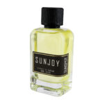 پرفیوم اکستریت مردانه سانجوی سان اسپات 100 میل SUNJOY EXTRAITE DE PARFUM SUNSPOT 100ML - Image 2