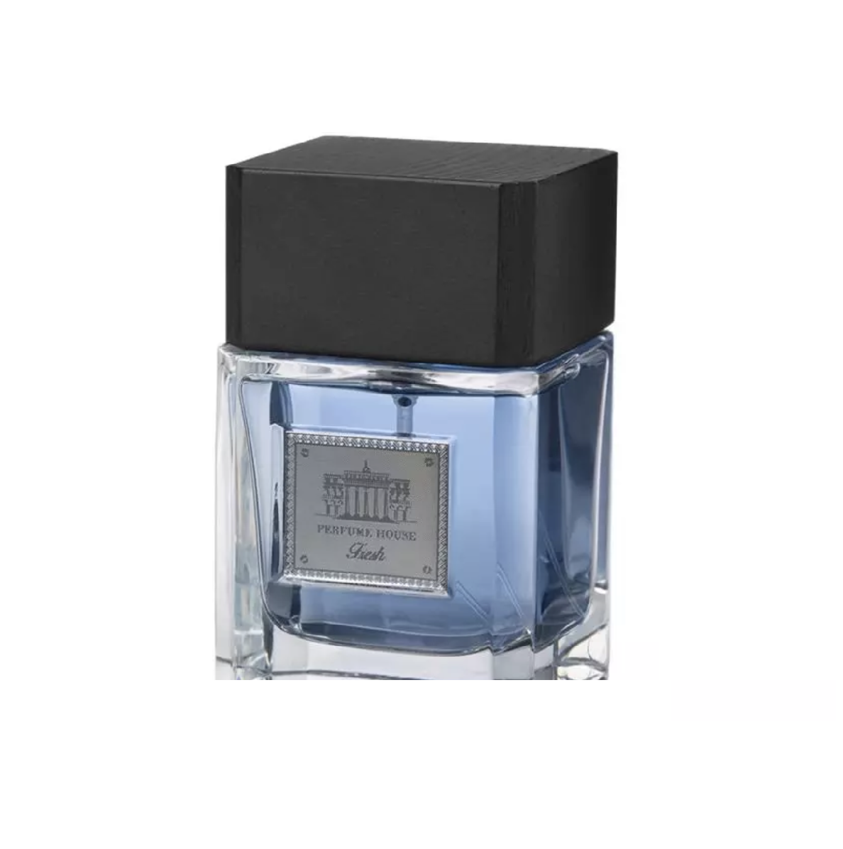 IMG_8968 ادوپرفیوم مردانه پرفیوم هاوس فرش PERFUME HOUSE FRESH EDP 100ML MEN - Image 1