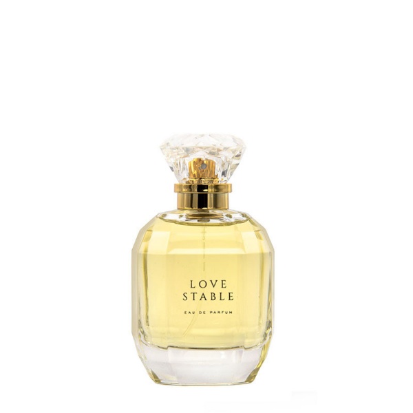 LOVE-STABLE-2 ادوپرفیوم زنانه اکسید لاو استیبل 1 XCEED LOVE STABLE I 100ML - Image 1