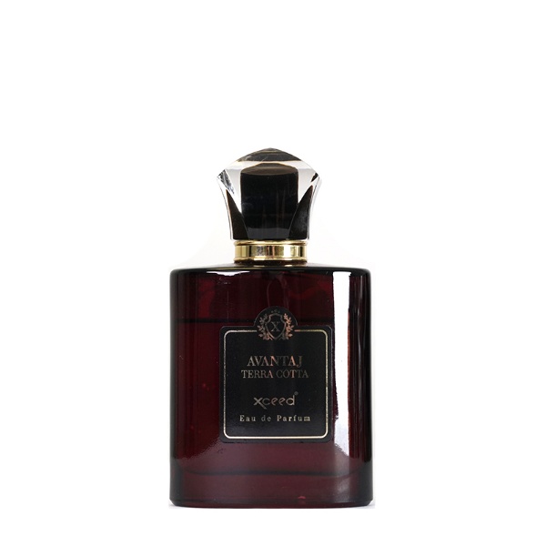 TERRA-COTTA ادوپریوم مردانه اکسید آوانتاژ ترا کتا XCEED AVANTAJ TERRA COTTA 100M - Image 1